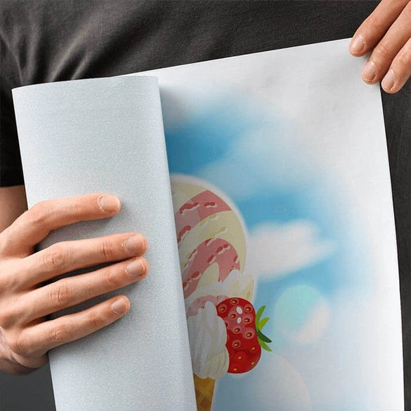 Blue Back Poster